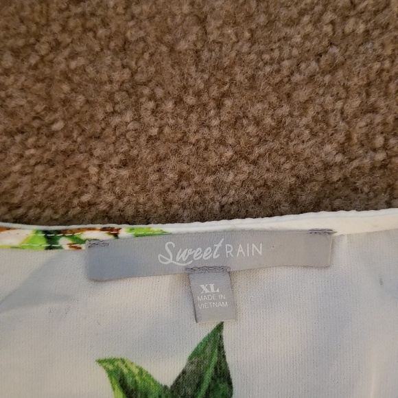 Spring Dress - Picture 4 of 4